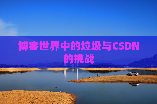 博客世界中的垃圾与CSDN的挑战